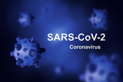 コロナウイルスはどこから来たの？根絶できる？