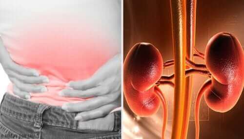 腎膿瘍は、膀胱で始まり、腎臓とその周辺に広がる尿路感染症によって起こります。今回の記事で詳しく学びましょう!このままご覧ください。 発症した女性