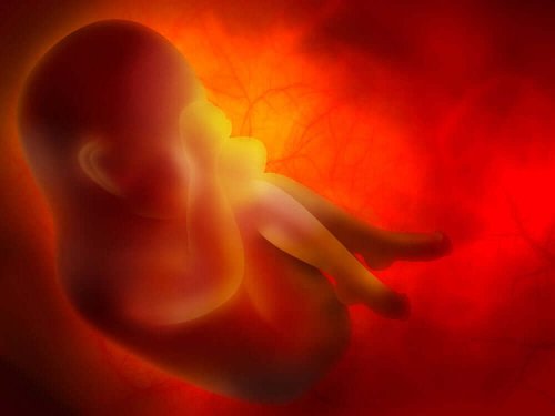 胎児 妊婦は赤ちゃんに新型コロナウイルスを感染させますか?