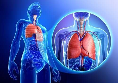 呼吸器系　エアロゾル療法って何？