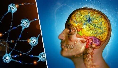 ヒトの頭とニューロン　脳転移とその治療について