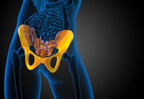 仙腸関節の過度可動性