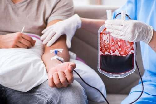 【知ってるようでしらなかった！】輸血の知識と正しい献血の手順