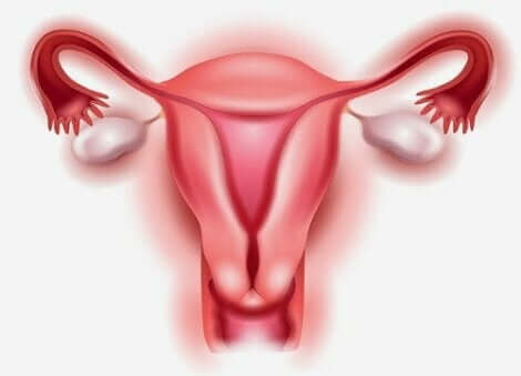 卵巣の早期摘出