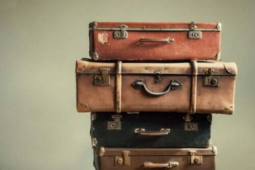 旅行者が感染しやすい熱帯風土病について　スーツケースによる感染拡大