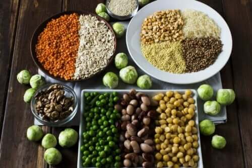 タンパク質のさまざまな供給源 タンパク質の体内での働き