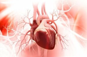 健康な心臓を持つための7つのヒント
