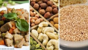 食事の動物性タンパク質を置き換えるための代替手段