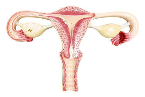 女性　避妊手術　卵管結紮術　特徴　手順