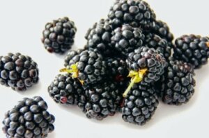 ブラックベリーを食べることの10の利点