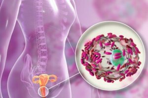 プロバイオティクスは膣内細菌叢にどのような影響を与えるの?