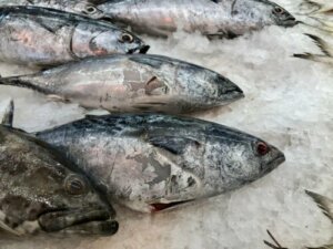 腐った魚の見分け方