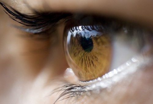 ものもらいに効く8つの効果的な治療法