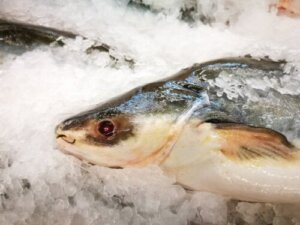 ナマズの栄養・利点・考えられるリスク