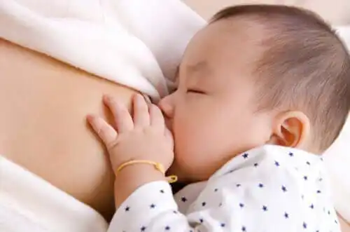 新生児の吸啜反射について知っておくべきこと
