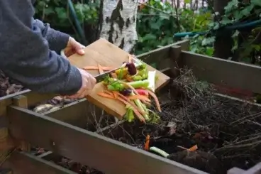自分で堆肥を作るときのよくある間違い3つ