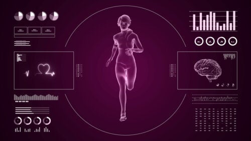 運動能力とは結局なんなの？